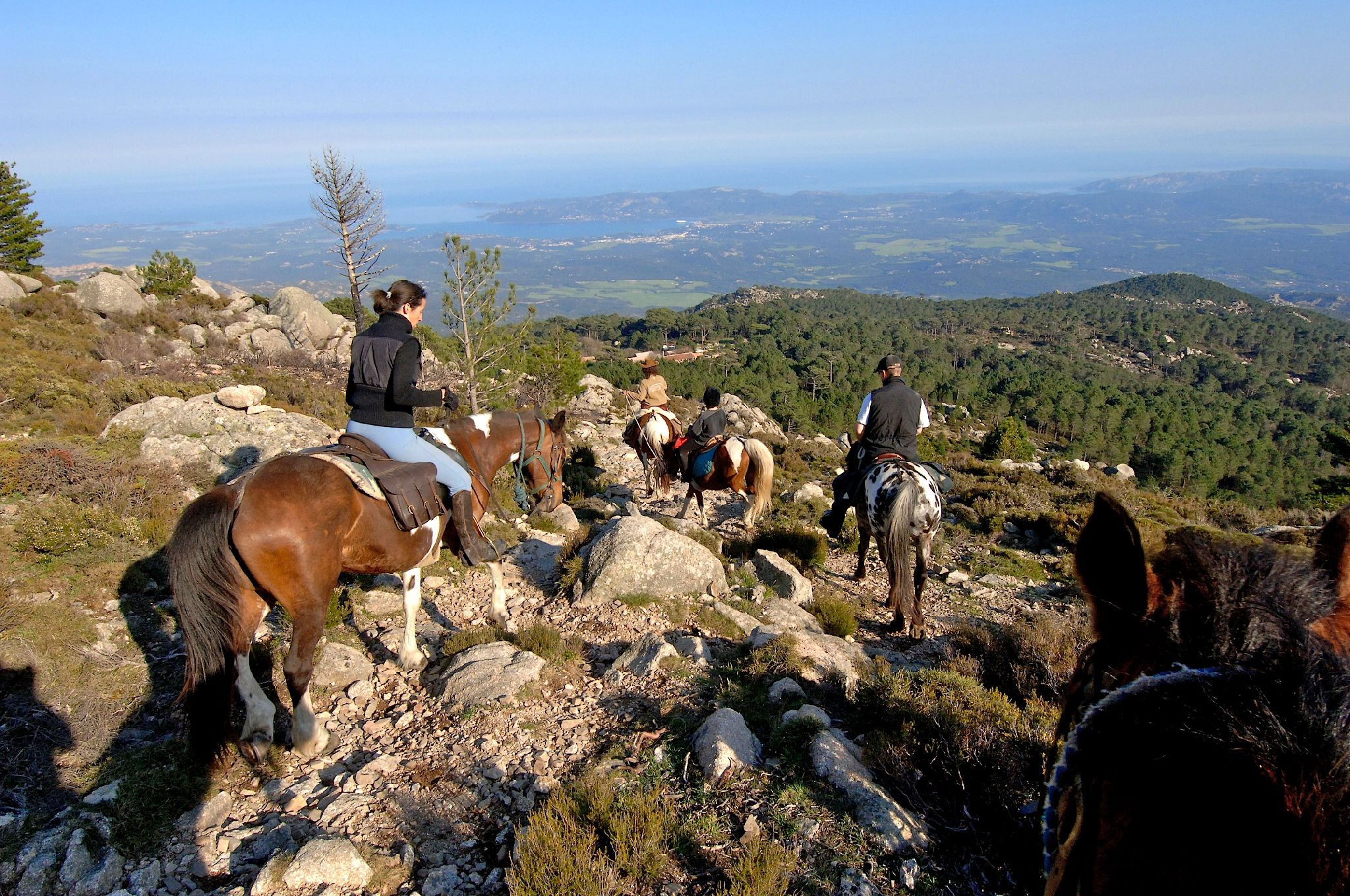 Randonnées équestres à Porto Vecchio En Corse Du Sud
